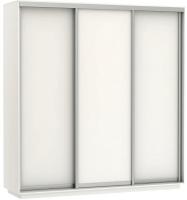 Фото shkaf-kupe-v-prikhozhuyu шкаф-купе экспресс трио элемент (2,4х0,6х2,2 - 3 двери) производитель Мебельная компания Е1