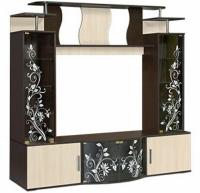 Центральная секция Алегро  в интернет магазине Планета Комфорта Фото gostinye-so-shkafom центральная секция алегро  производитель Мебель Маркет