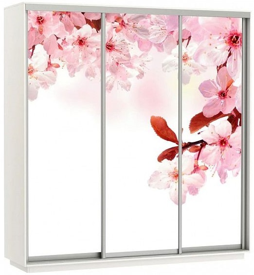 Фото Шкаф-купе Экспресс Трио Фото (2,1х0,6х2,2 - 3 двери) от производителя Мебельная компания Е1 в Крыму по цене 51 430 ₽