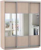 Фото shkaf-kupe-v-prikhozhuyu шкаф-купе экспресс трио комби (2,1х0,6х2,4 - 3 двери) производитель Мебельная компания Е1