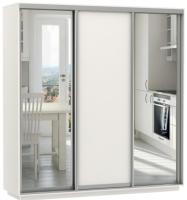 Фото shkaf-kupe-v-prikhozhuyu шкаф-купе экспресс трио медиум (2,4х0,6х2,4 - 3 двери) производитель Мебельная компания Е1